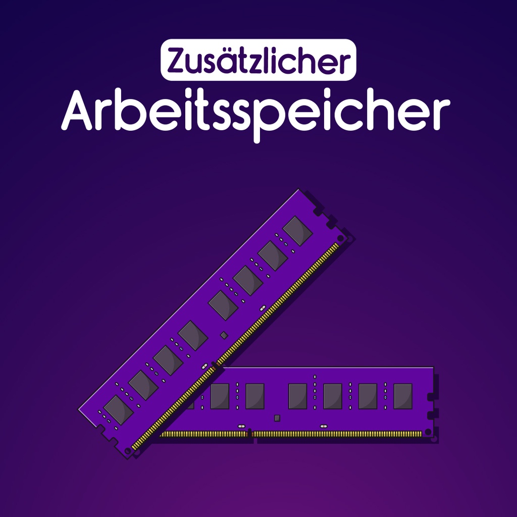 Zusätzlicher Arbeitsspeicher (1GB)